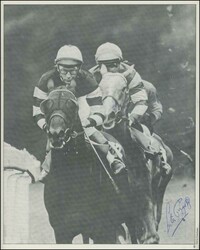 Autographs collection most with page devoted to each, including ...