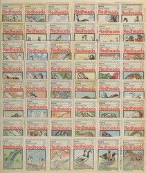 Balance of collection including fossil whale ear bone; fossil shark ...