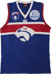 FOOTSCRAY: 1997 match used football jumper with ICI, Dunlop & ...