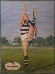 1964 Heinz 'VFL Player Posters', part set [19/24], mainly Fair/Fine ...