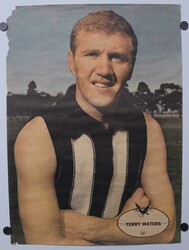 1964 Heinz 'VFL Player Posters', part set [19/24], mainly Fair/Fine ...