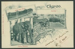 1901 (Aug 24) Boer War Prisoners of War usage of beautiful Undivided ...