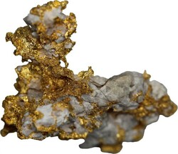Gold/Quartz nugget (31.4g) total actual gold weight +/-19.5 grams, ...