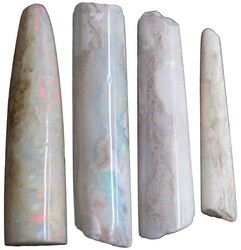 Coober Pedy (SA) belemnite and belemnite pieces. (22)