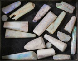 Coober Pedy (SA) belemnite and belemnite pieces. (22)