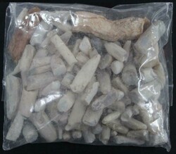 Coober Pedy (SA) belemnite specimens 0.4kg.