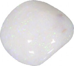 Coober Pedy (SA) opalised sea shell green blue and orange pinfire ...