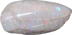 Coober Pedy (SA) opalised sea shell, 35.7 carats, 35mm x 18mm, a ...