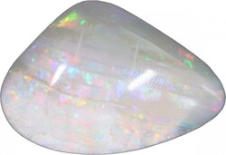 Coober Pedy (SA) opalised sea shell streaky coloured patterns to ...