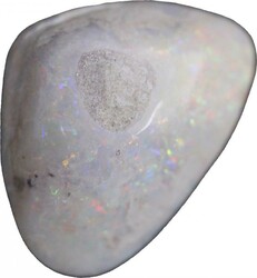 Coober Pedy (SA) opalised sea shell, 21 carats, 37mm x 29mm.