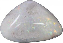 Coober Pedy (SA) opalised sea shell, 21 carats, 37mm x 29mm.