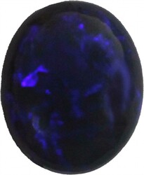 Lightning Ridge (NSW) black solid oval all blue/dark blue primary ...