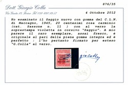 C.L.N. Maccagno - 20 c. non emesso (11) con soprastampa corsiva in ...