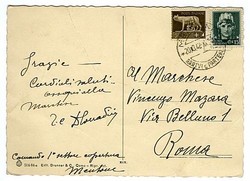 7172: Collections and Lots Italy Occupied Italian Areas