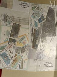 TAAF. Collection 1955-2018, Poste, PA, BF ** TTB en 2 classeurs ...