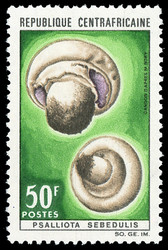 6740: Central Africa Republic