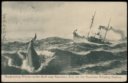 1955: British Columbia and Vancouver