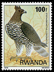 5395: Rwanda - Collections