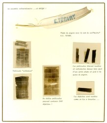 Enveloppe contenant deux plumes de pigeons ainsi que des ...