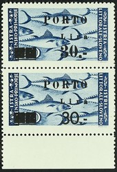 7172: Sammlungen und Posten Italien Besetzte italienische Gebiete