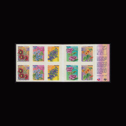 6085: Sudáfrica - Stamp booklets