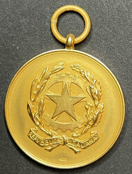 REPUBBLICA ITALIANA - Medaglia al merito della Sanità Pubblica in ...