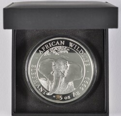 500 Shilling, 2021, African Wildlife - Elephant, 5 oz Silber, in ...