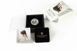 1 Dollar, 2023, Känguru, 1 oz Silber, koloriert, im Originaletui, ...