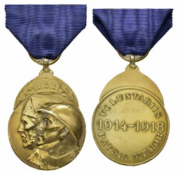 Belgien, Medaille für freiwillige Kämpfer 1914-1918 (Médaille du ...
