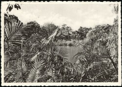 1952, Belgian Congo, airmail postcard, franked with (2x) 25c, (1x) ...