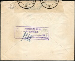 1918, Luxembourg, lettre affranchie avec (3x) "5c vert - émission ...
