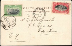 1908, Congo Free State to South Africa, picture postcard, franked ...