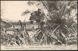 1904, Annam - Indochine, carte vue, affranchie avec paire horizontale ...