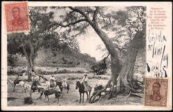 1909, Argentina, picture postcard, franked (on view side) with (1x) ...