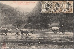1910, Tonkin - Indochina, picture postcard, franked (on view side) ...