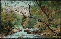 1917, Great Britain, picture postcard franked with 1/2p. (Y&amp;T ...