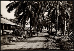 1958, Belgian Congo, airmail picture postcard, franked with (1x) 1 ...