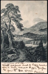 1904, Ceylon, picture postcard franked with (horizontal pair) 3c ...