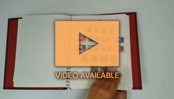 7461: 印度 Convention States - Collections