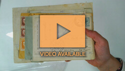 1620: Albania - Stamps bulk lot