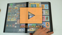 2070: China - Sammlungen