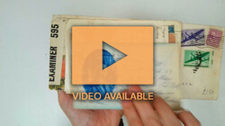 6605: États-Unis - Stamps bulk lot