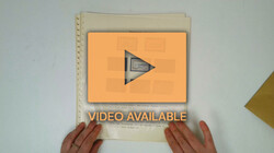 2480: Isole Falkland - Collections