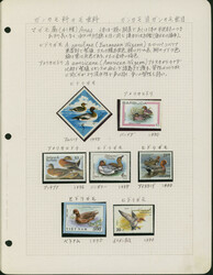 トピカル カモ 53リーフ 主に未使用 ...