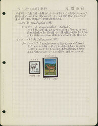 トピカル 牛 93リーフ 主に未使用 ...