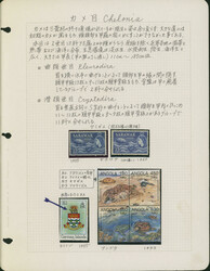トピカル カメ 96リーフ 主に未使用 ...
