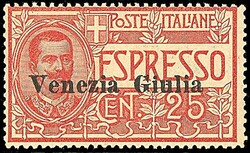 3460: Trentin Italie occupation I. WK - Express delivery stamps