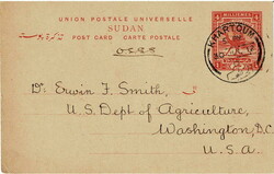 Picture 2 for Lot from David Morrison