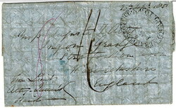 Picture 2 for Lot from David Morrison