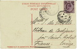 SINGAPORE. 1908 picture post card to France of Elephants fording the ...